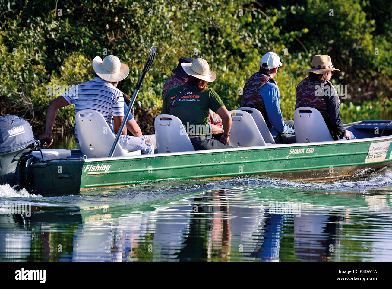 Il Brasile, Pantanal, tour in barca con gli uccelli safari sul Rio Claro, Foto Stock