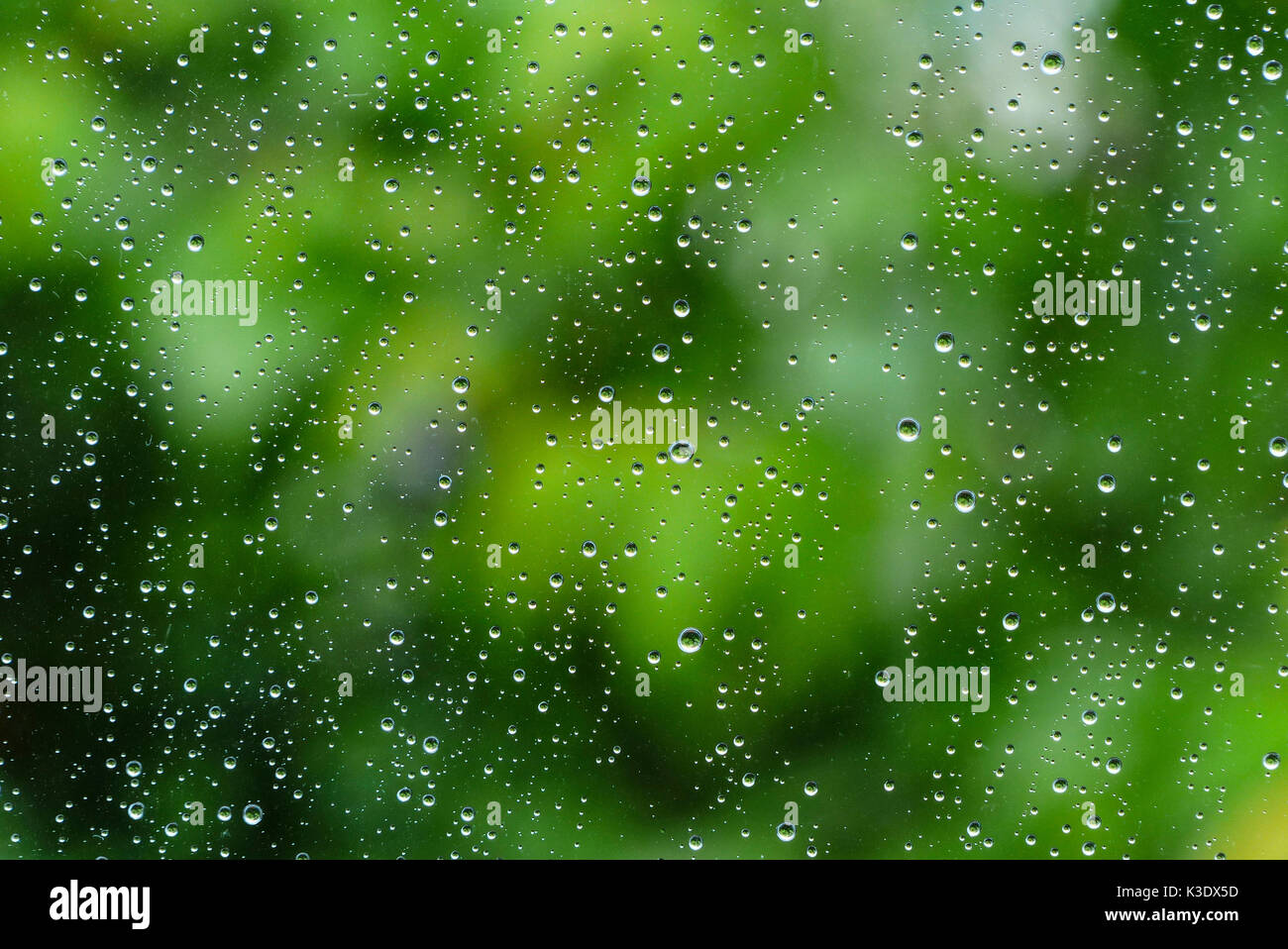 Giorno di pioggia, raindrop su un vetro di finestra, Foto Stock