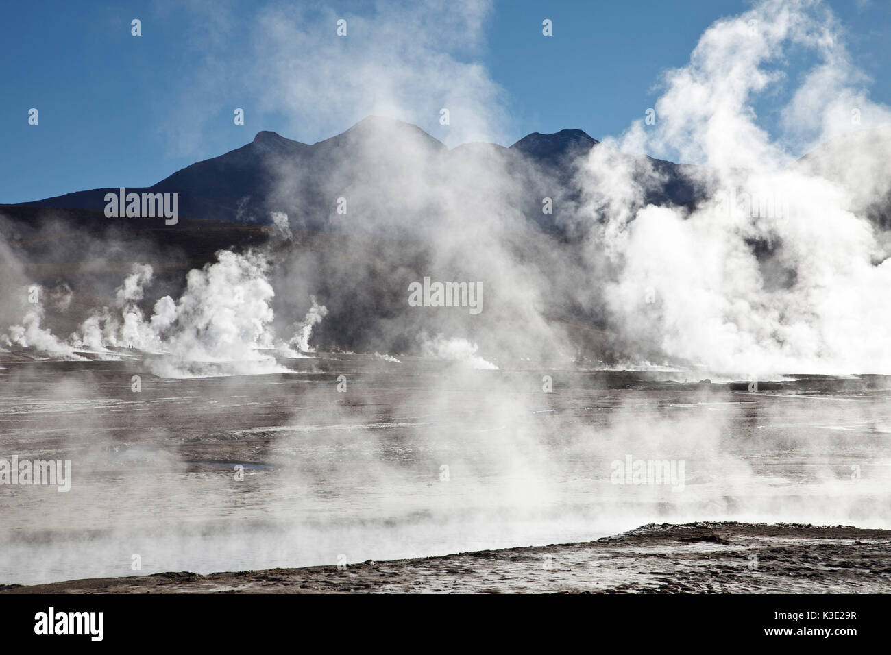 Il Cile, Geysir campo El Tatio, vapore, luce solare Foto Stock Il Cile, Geysir campo El Tatio, vapore, luce solare Foto Stock