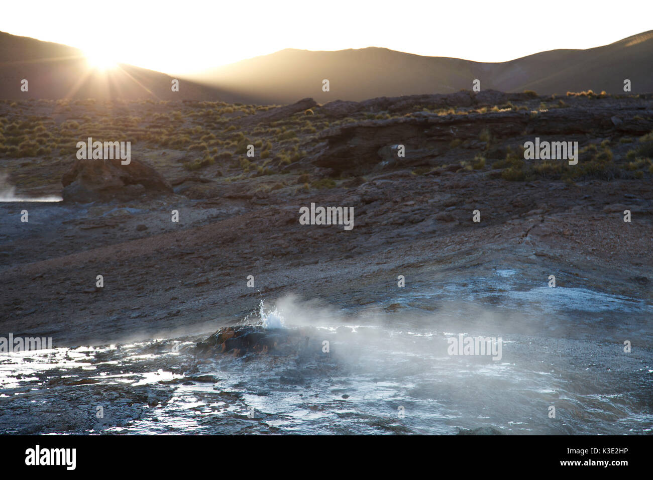 Il Cile, Geysir campo El Tatio, vapore, getto d'acqua, il sole, Foto Stock Il Cile, Geysir campo El Tatio, vapore, getto d'acqua, il sole, Foto Stock