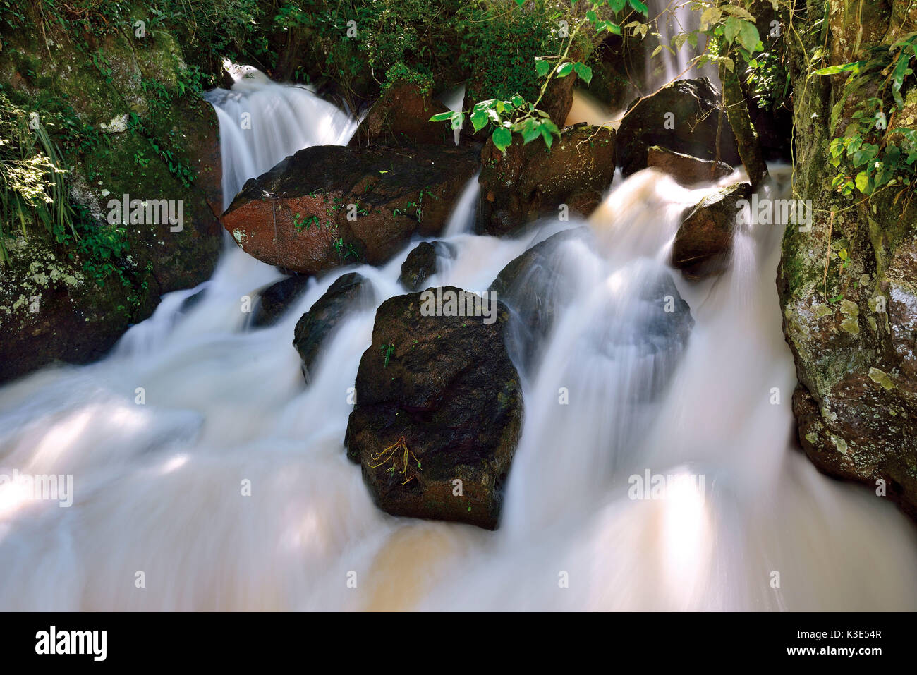 Argentinien, Iguazu Nationalpark, Wasserlauf einer Kaskade der Iguazu FÃ¤lle Foto Stock