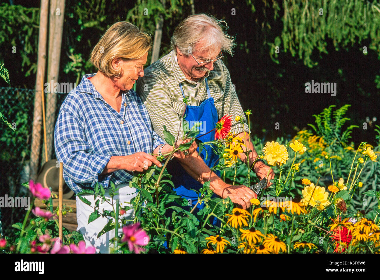 Coppia di anziani presso il giardinaggio Foto Stock