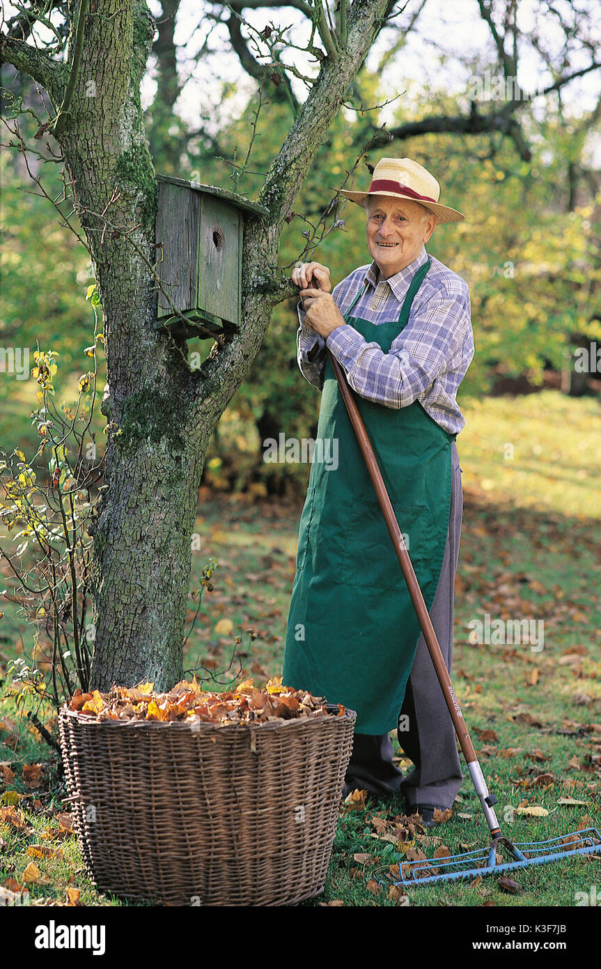 Giardiniere / Senior presso il giardinaggio Foto Stock