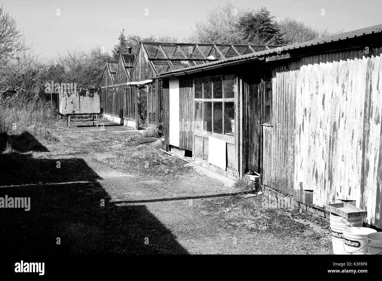 Rundown Kidby vivai, poco Clacton, Essex, in uno stato di declino in attesa di sviluppo in un alloggiamento station wagon. Foto Stock