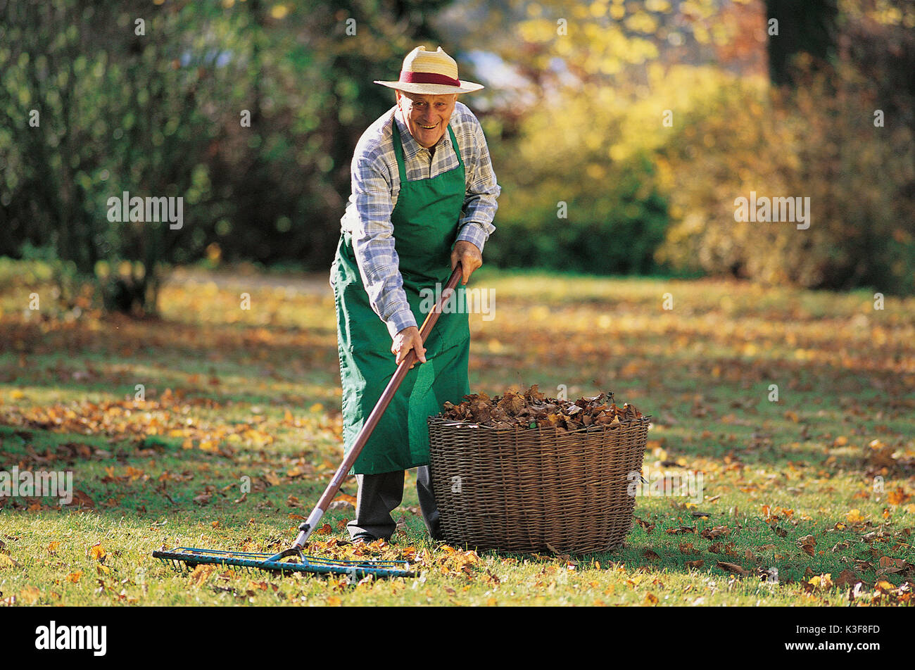 Giardiniere / Senior presso il giardinaggio Foto Stock