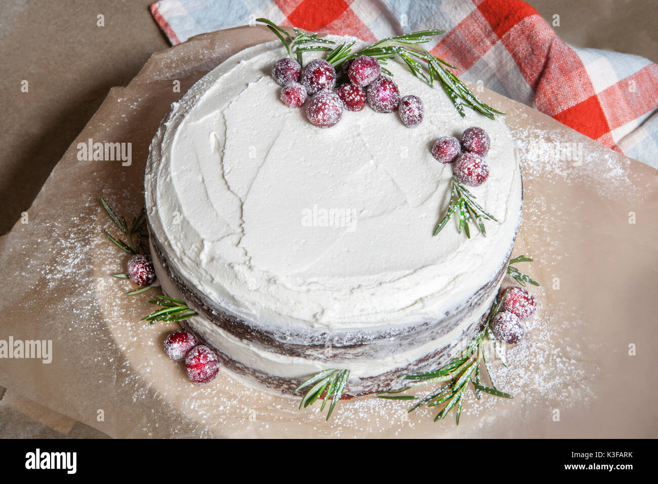 Strato di cioccolato torta con crema di burro alla vaniglia glassa e confettura di mirtilli rossi Foto Stock