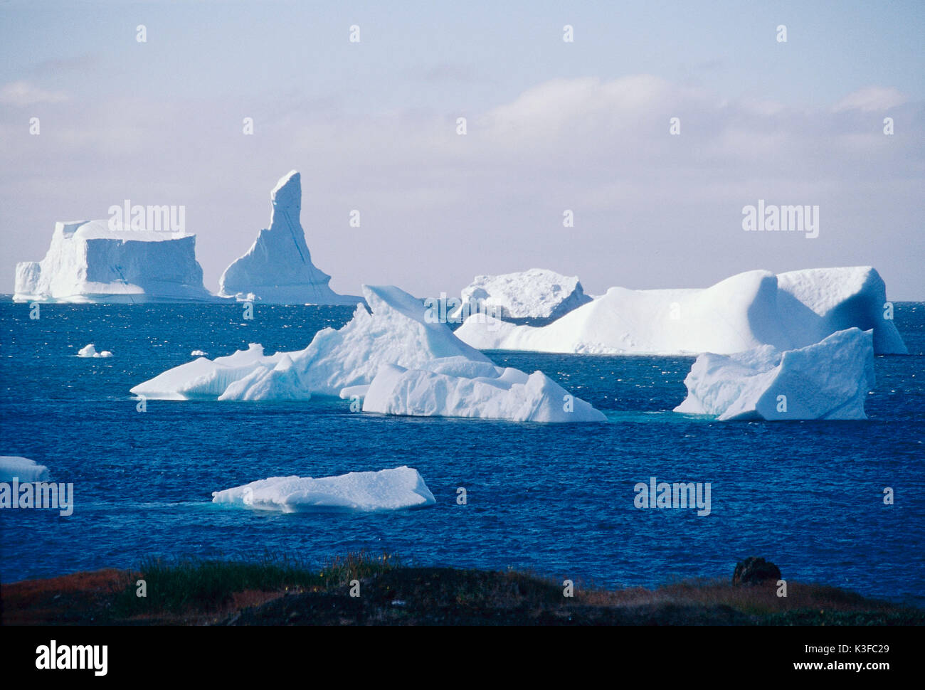 Iceberg, La Groenlandia Foto Stock