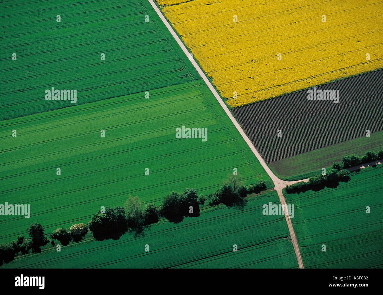 Fotografia aerea, terre agricole acri e campi che sono separati da una strada di campagna Foto Stock