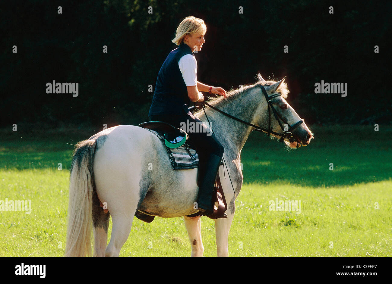 Donna con cavallo Foto Stock