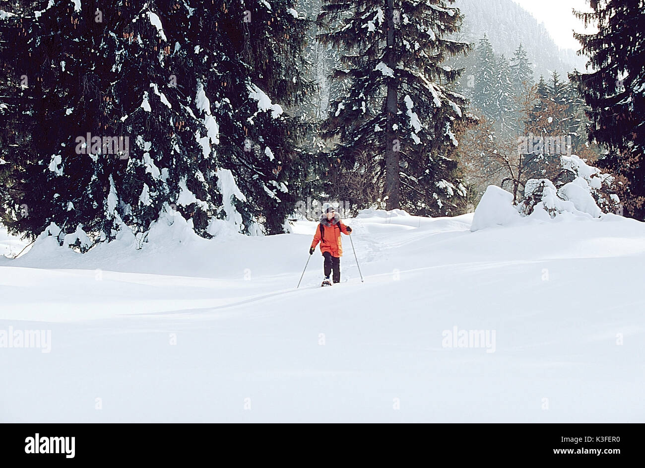 Con le racchette da neve a piedi a Schwangau in Algovia Foto Stock