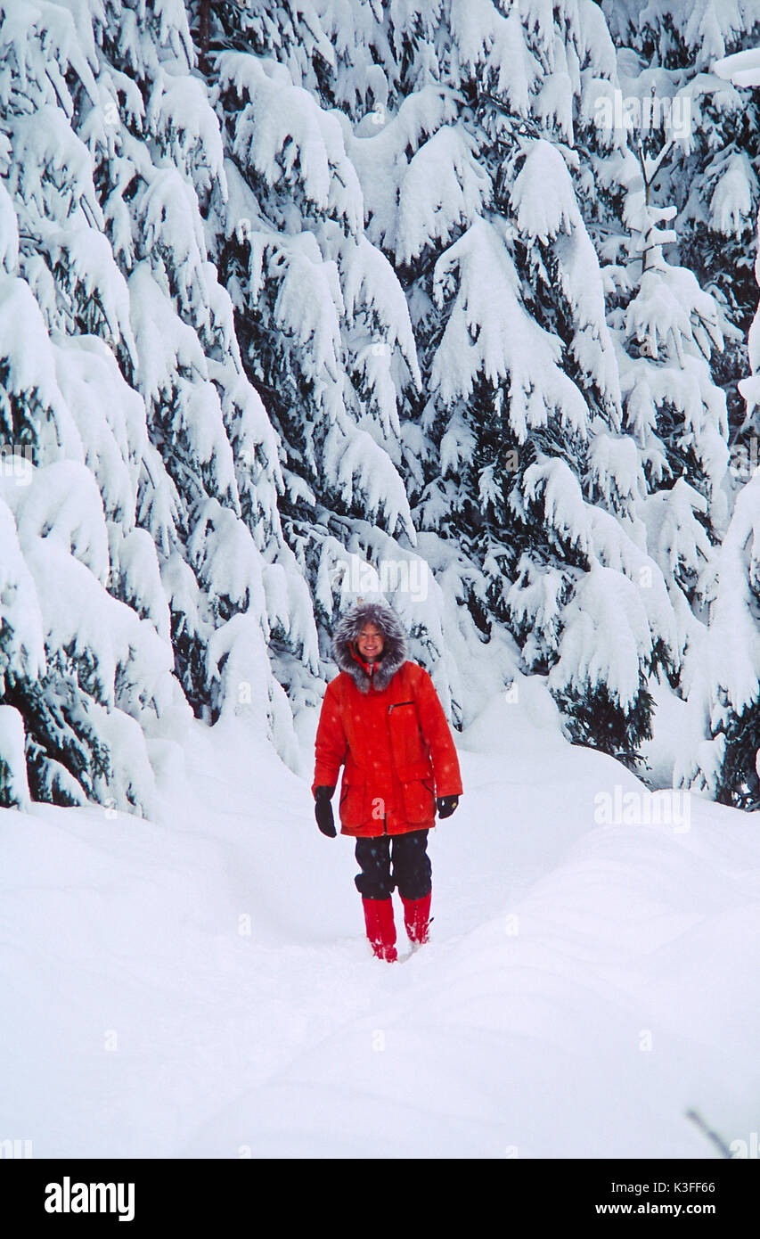 Passeggino nel paesaggio invernale con la neve-coperto di alberi Foto Stock