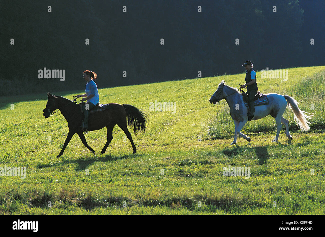 Corsa su cavalli al galoppo Foto Stock