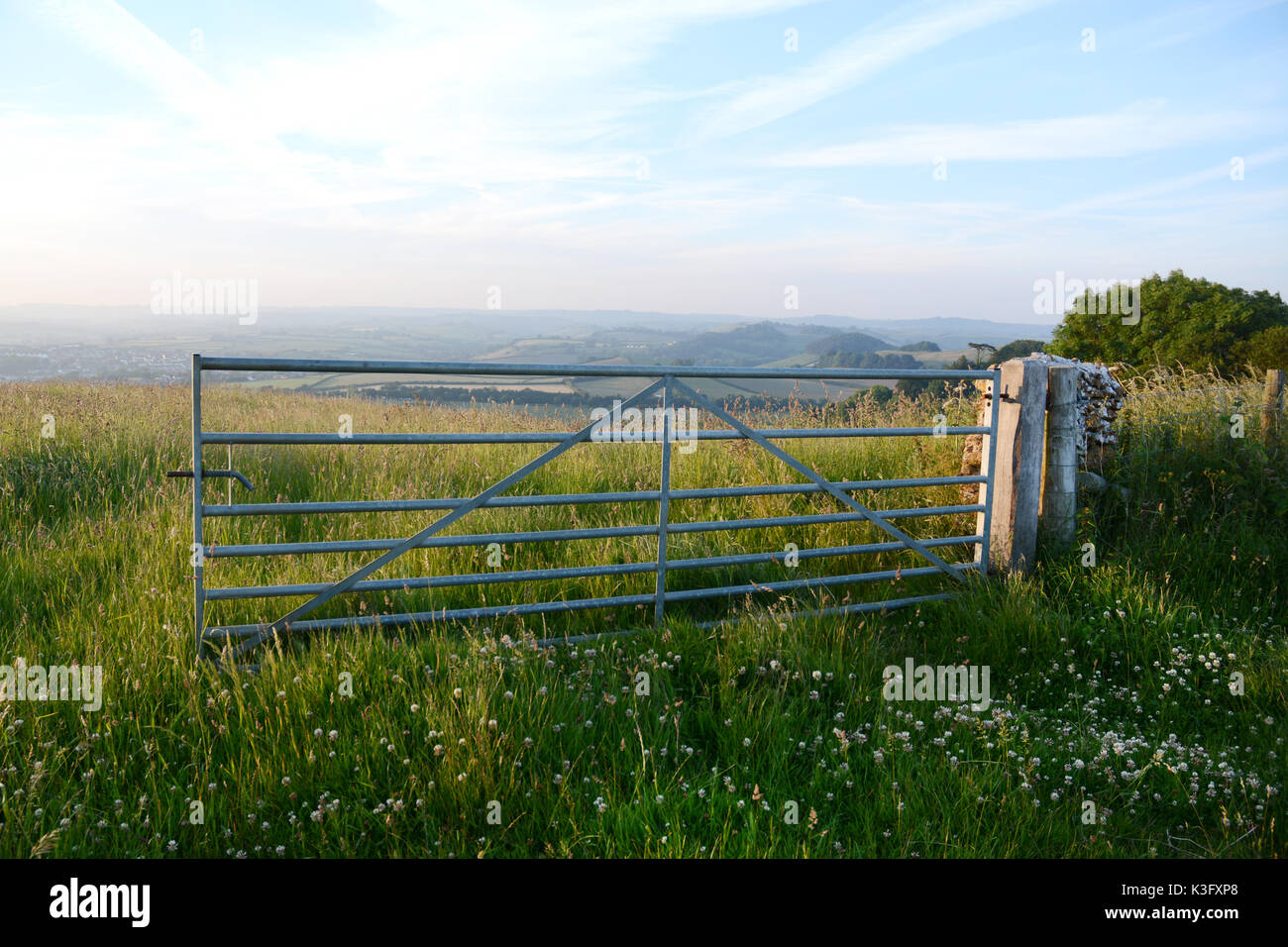 Un gate sulle colline che guardano ai bordi della città di bridport, nel Dorset, nel Regno Unito. Foto Stock