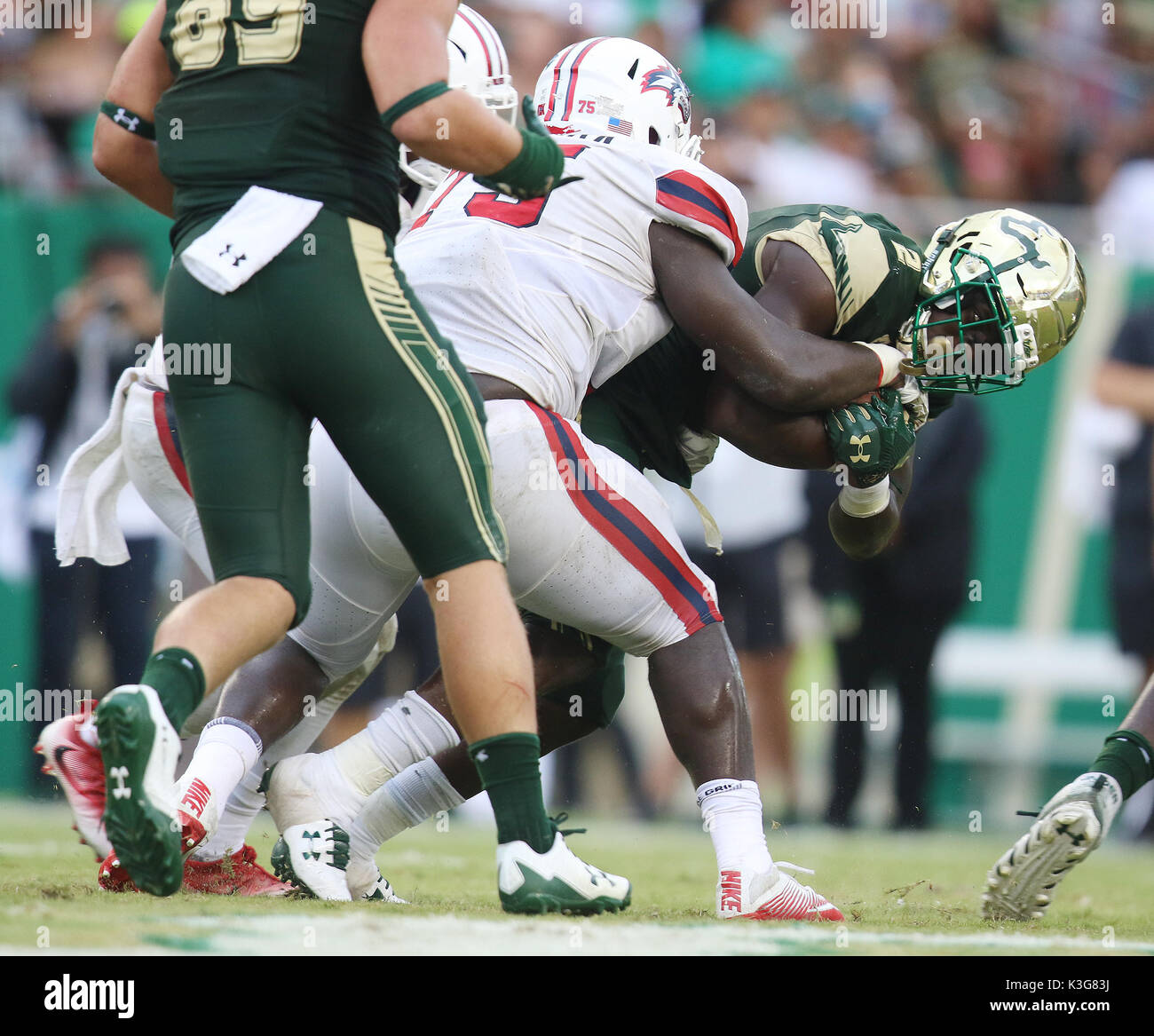 Città, Florida, Stati Uniti d'America. 2 Sep, 2017. OCTAVIO JONES | Orari .South Florida Bulls running back D'Ernest Johnson (2) corre la palla mentre affrontate da Stony Brook Seawolves defensive lineman Sam Kamara (75) durante il quarto trimestre presso Raymond James Stadium di Tampa sabato 2 settembre, 2017. Il USF Bulls sconfitto il Stony Brook Seawolves 31 a 17. Credito: Octavio Jones/Tampa Bay volte/ZUMA filo/Alamy Live News Foto Stock