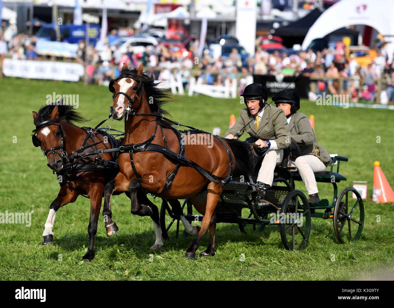 Dorchester Dorset, Regno Unito. 02Sep, 2017. scurry racing credit: finnbarr webster/alamy live news Foto Stock