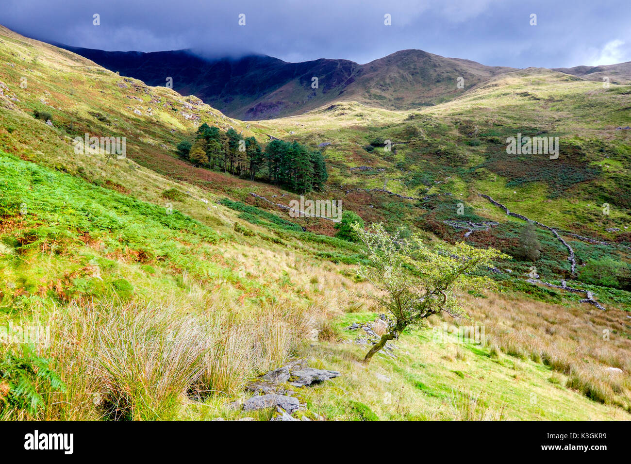La testa di Cwm Pennant, Snowdonia, il Galles del Nord, Regno Unito Foto Stock