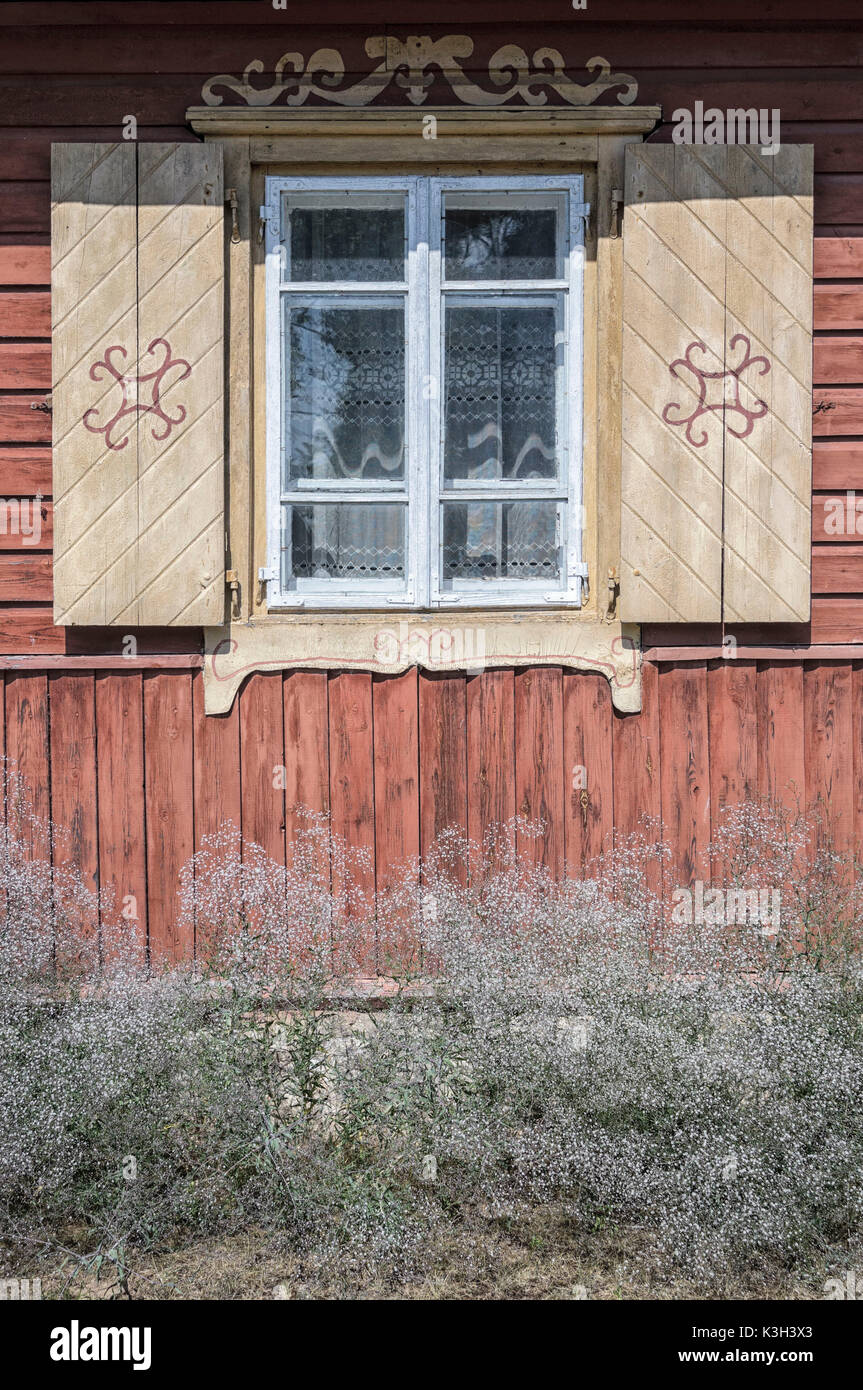 La geografia della Lituania, Gypsophila fiori vicino alla parete della casa in legno Foto Stock