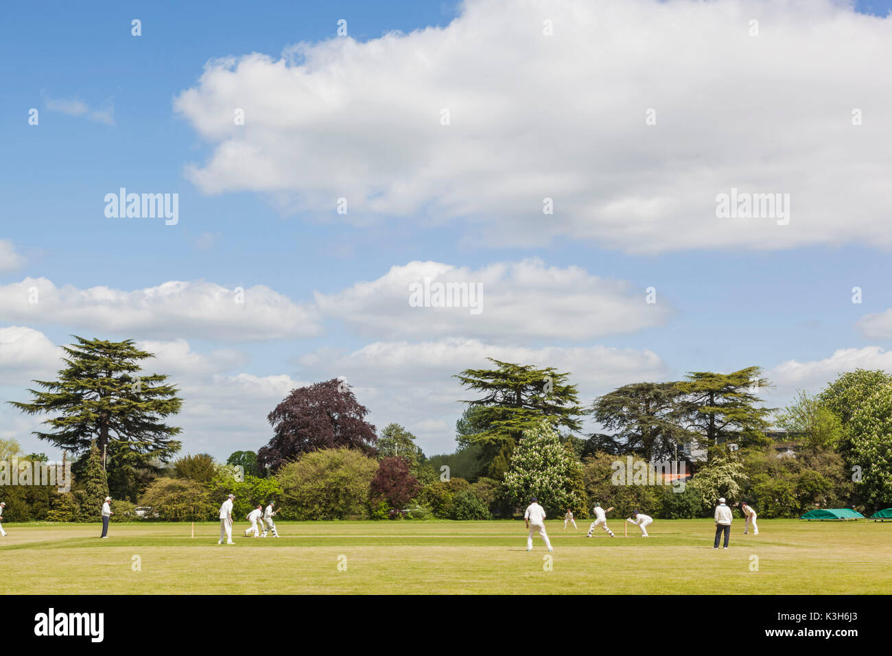 Inghilterra, Oxfordshire, Oxford, gli studenti a giocare a cricket Foto Stock