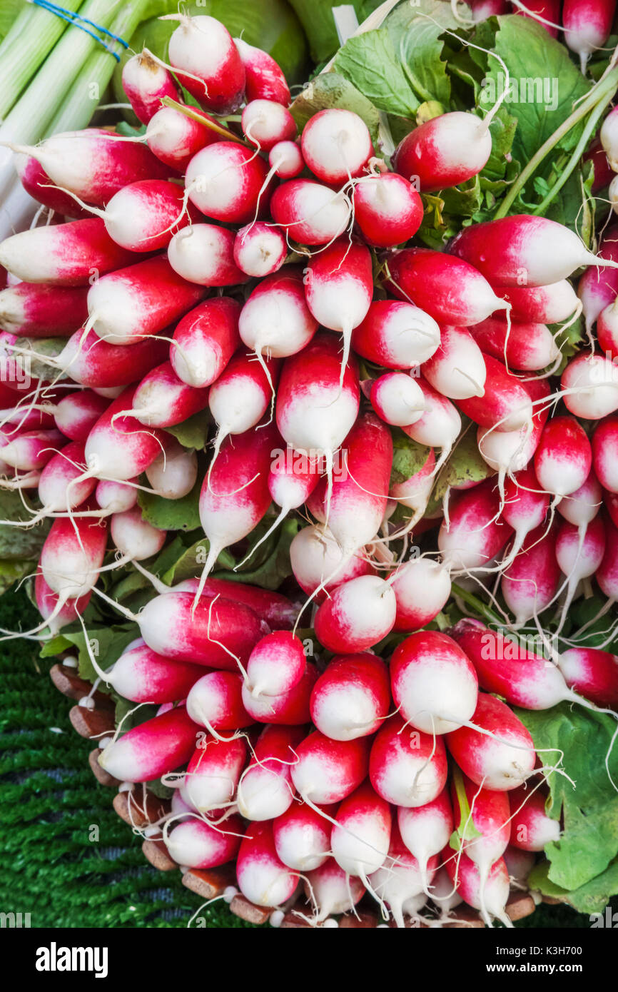 Inghilterra, Londra, Southwark, Borough Market, Display di Ravanelli Foto Stock