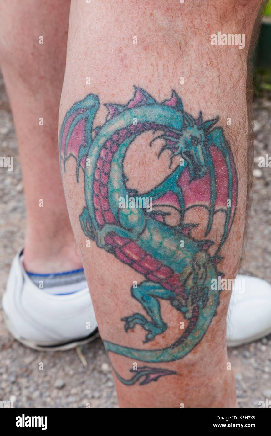 Il Galles, Gallese Dragon Tattoo sull uomo è la gamba Foto Stock
