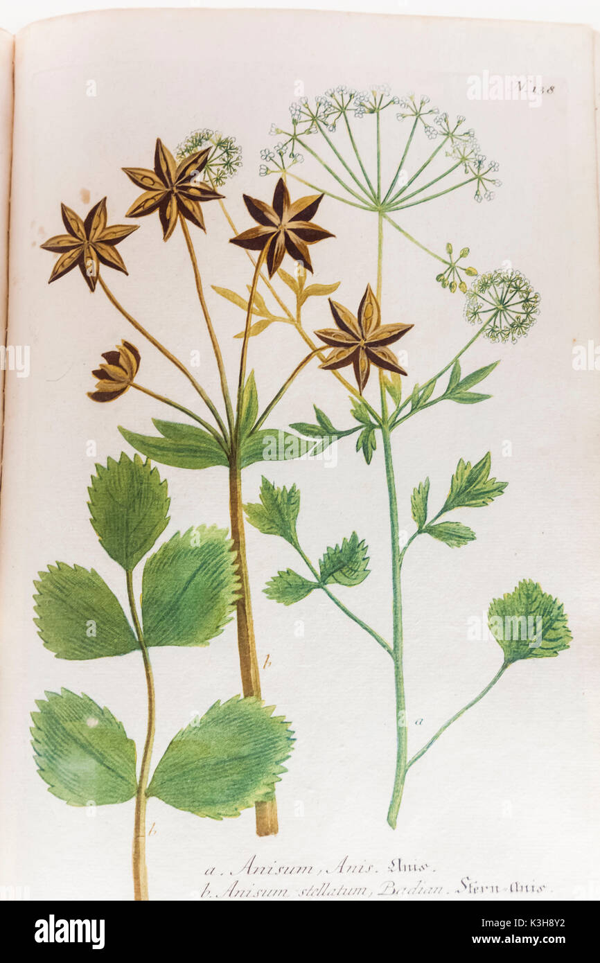 In Germania, in Baviera, Monaco di Baviera, Deutsches Museum, presentano del XVI secolo illustrato la medicina di erbe prenota Foto Stock