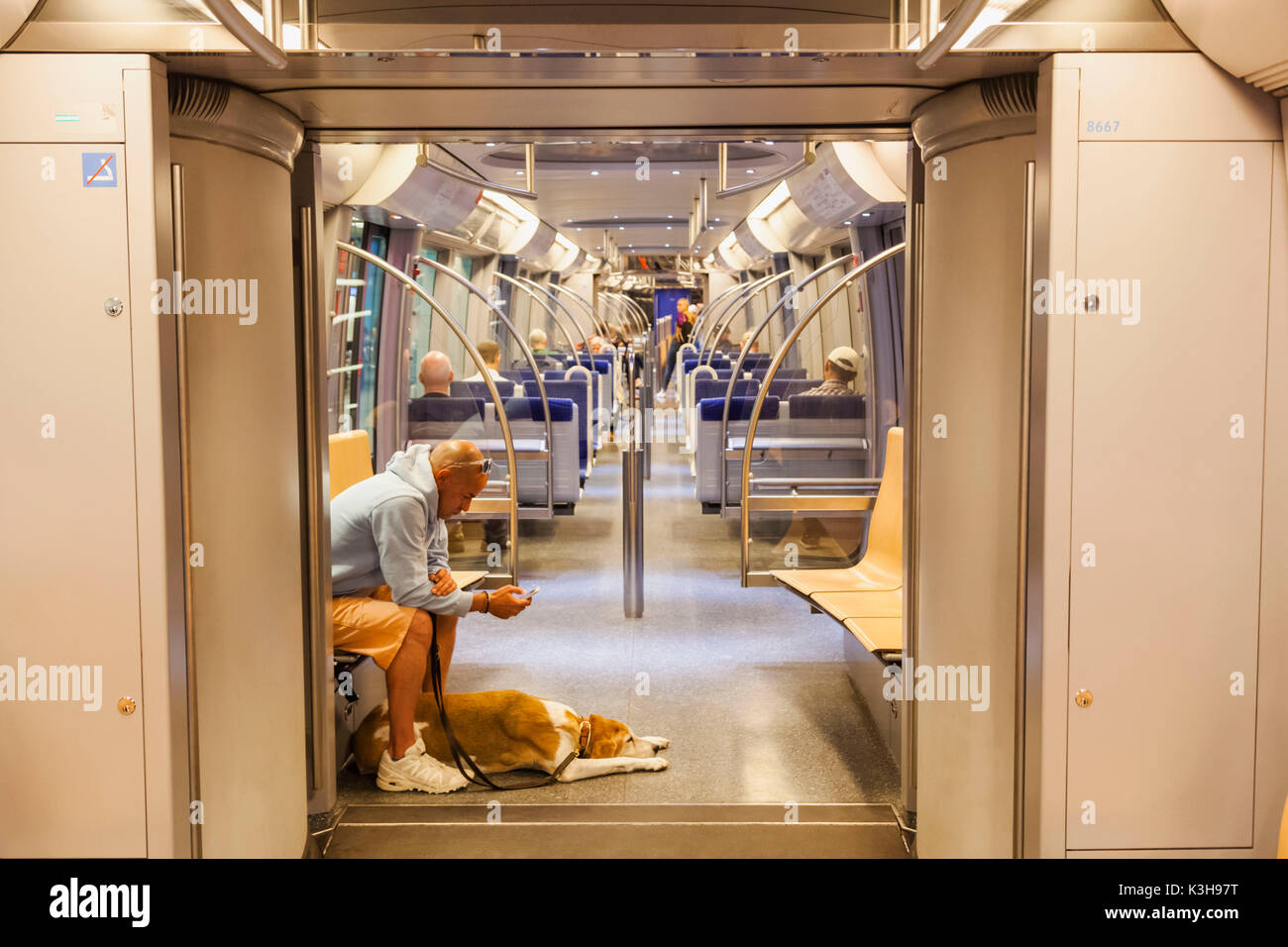 In Germania, in Baviera, Monaco di Baviera, alla metropolitana, passeggero con il cane Foto Stock