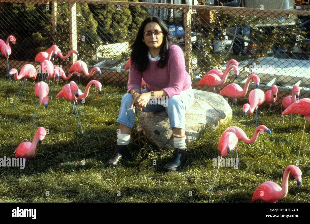 BOLLYWOOD / HOLLYWOOD regista Deepa Mehta data: 2002 Foto Stock