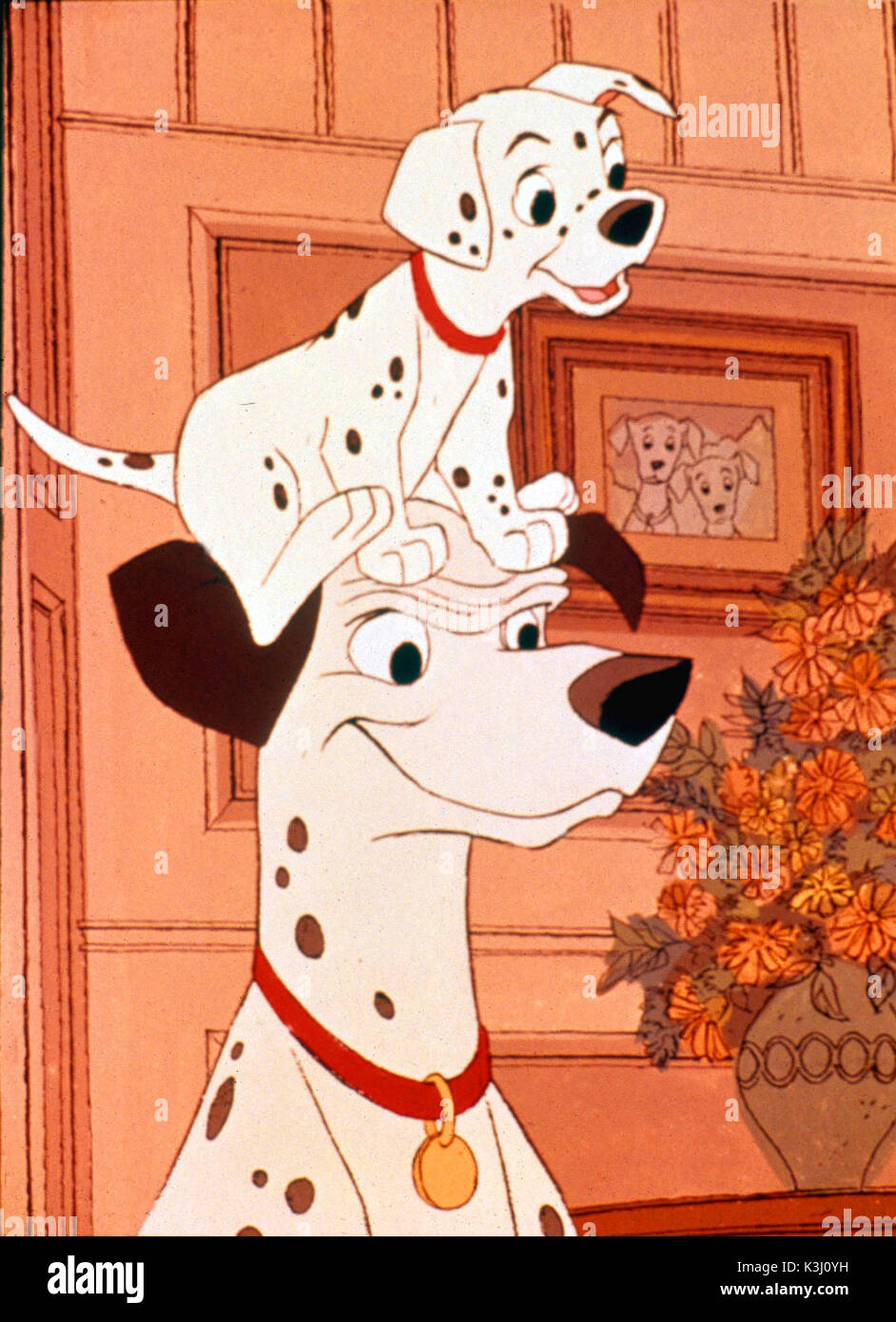 E UN CENTINAIO DI UNO DALMATIANS data: 1961 Foto Stock