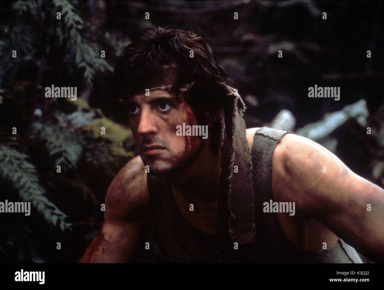 Primo sangue aka RAMBO: primo sangue Sylvester Stallone data: 1982 Foto Stock