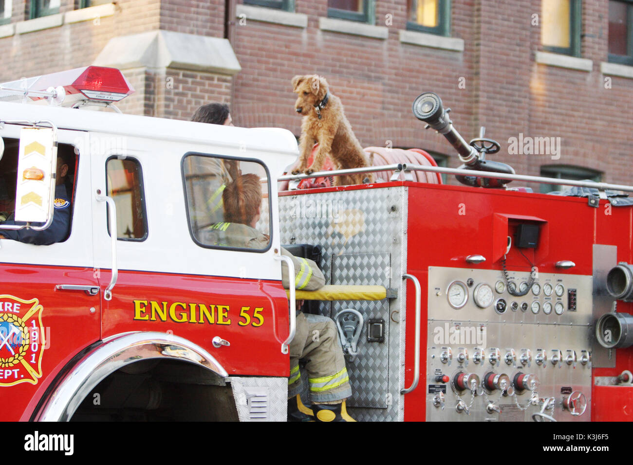 Firehouse dog immagini e fotografie stock ad alta risoluzione - Alamy