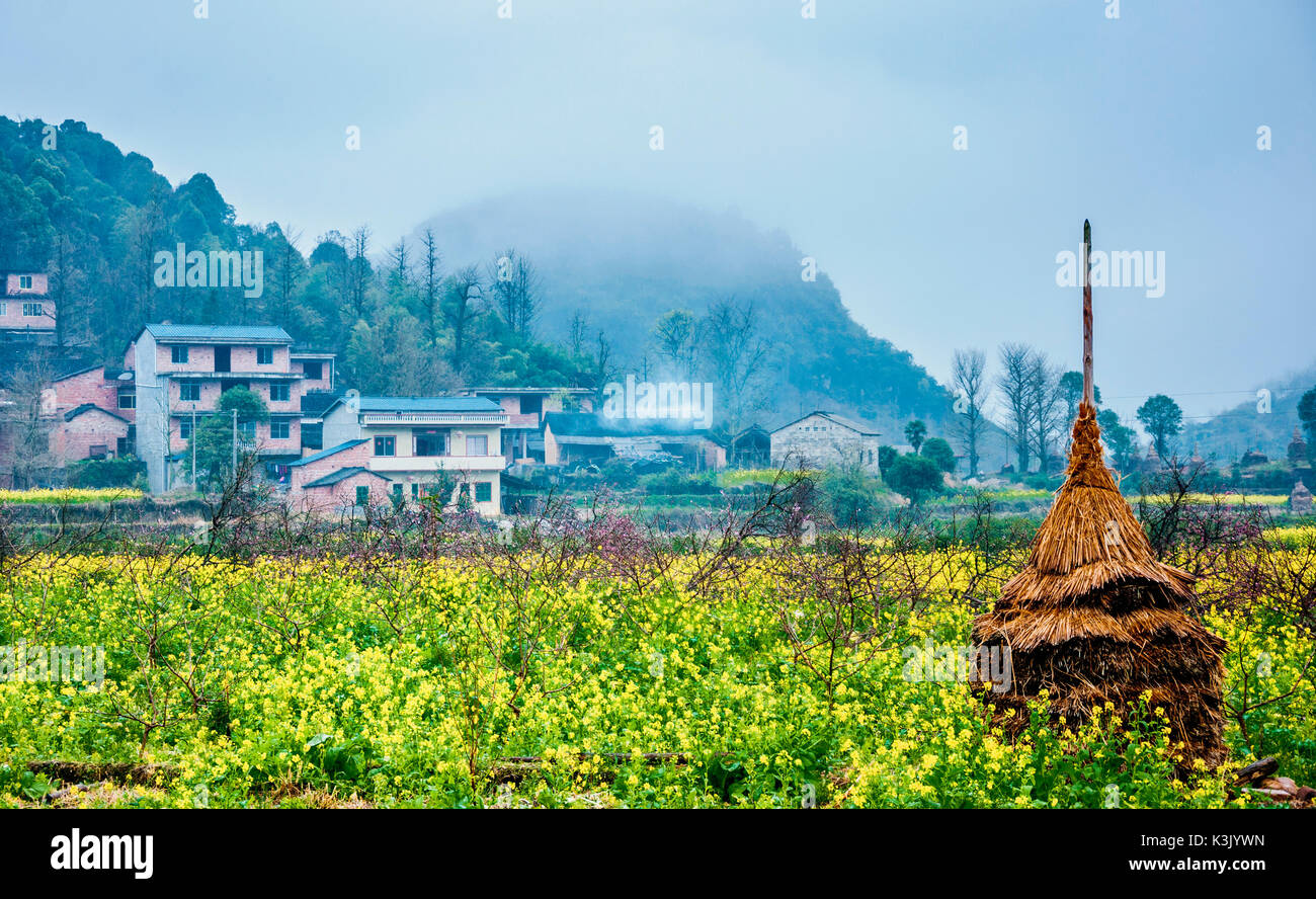 La colorata campagna scenario nella nebbia Foto Stock