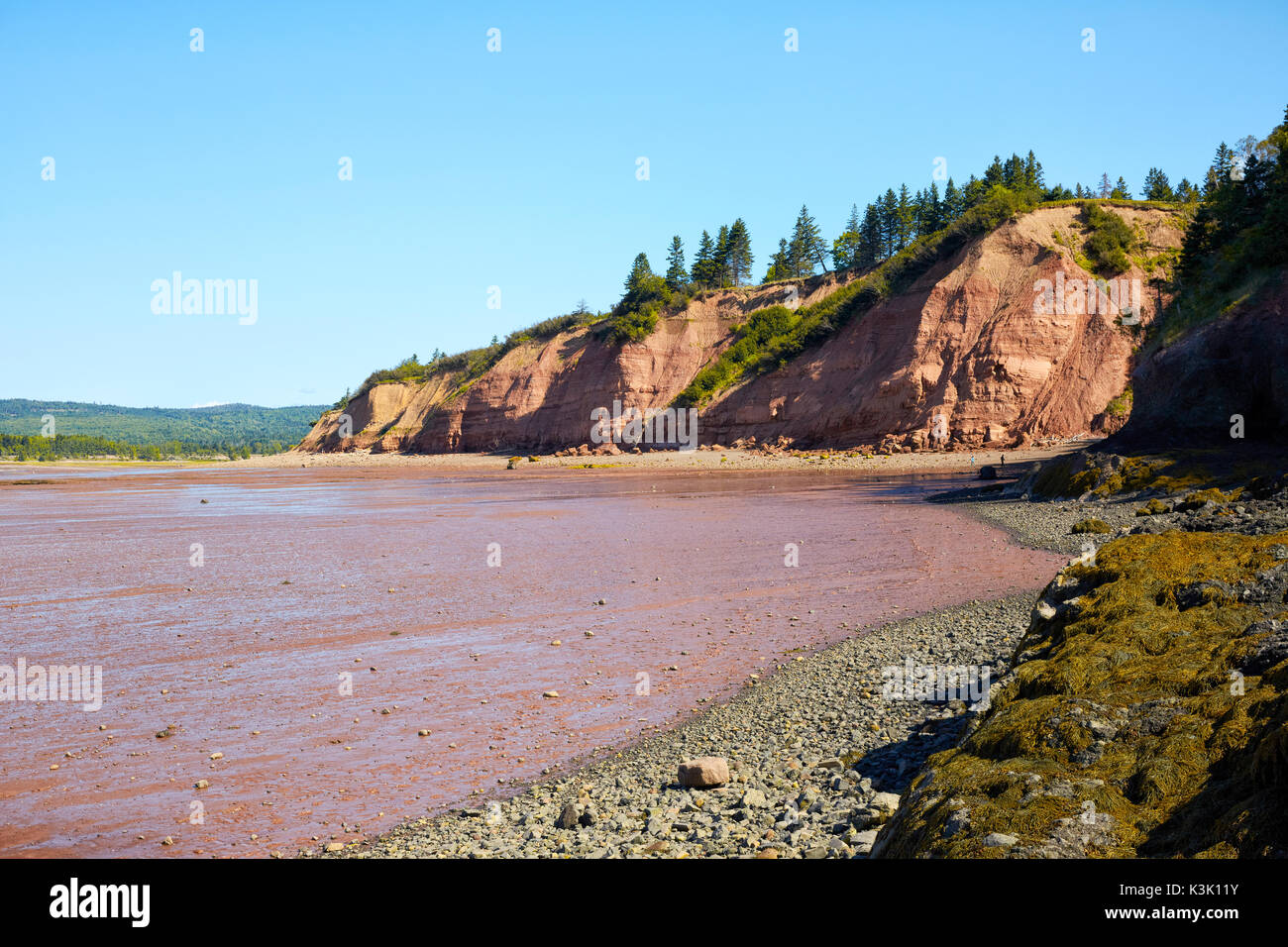 Scogliere a cinque isole del Parco Provinciale e della Baia di Fundy, Nova Scotia, Canada Foto Stock