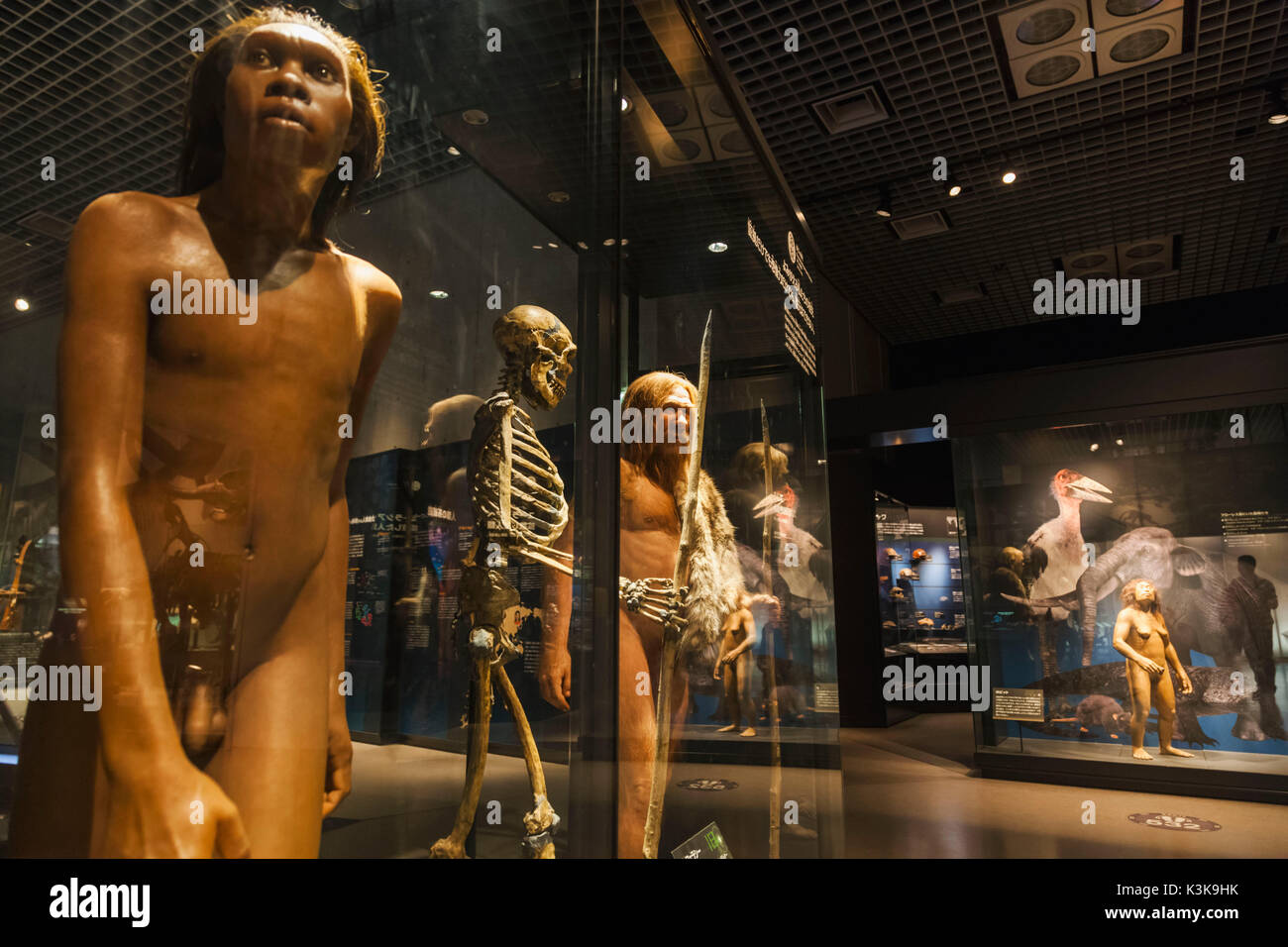 Giappone, Hoshu, Tokyo, il parco Ueno, il museo nazionale della scienza e natura, presentano raffigurante l'evoluzione dell'Umanità Foto Stock