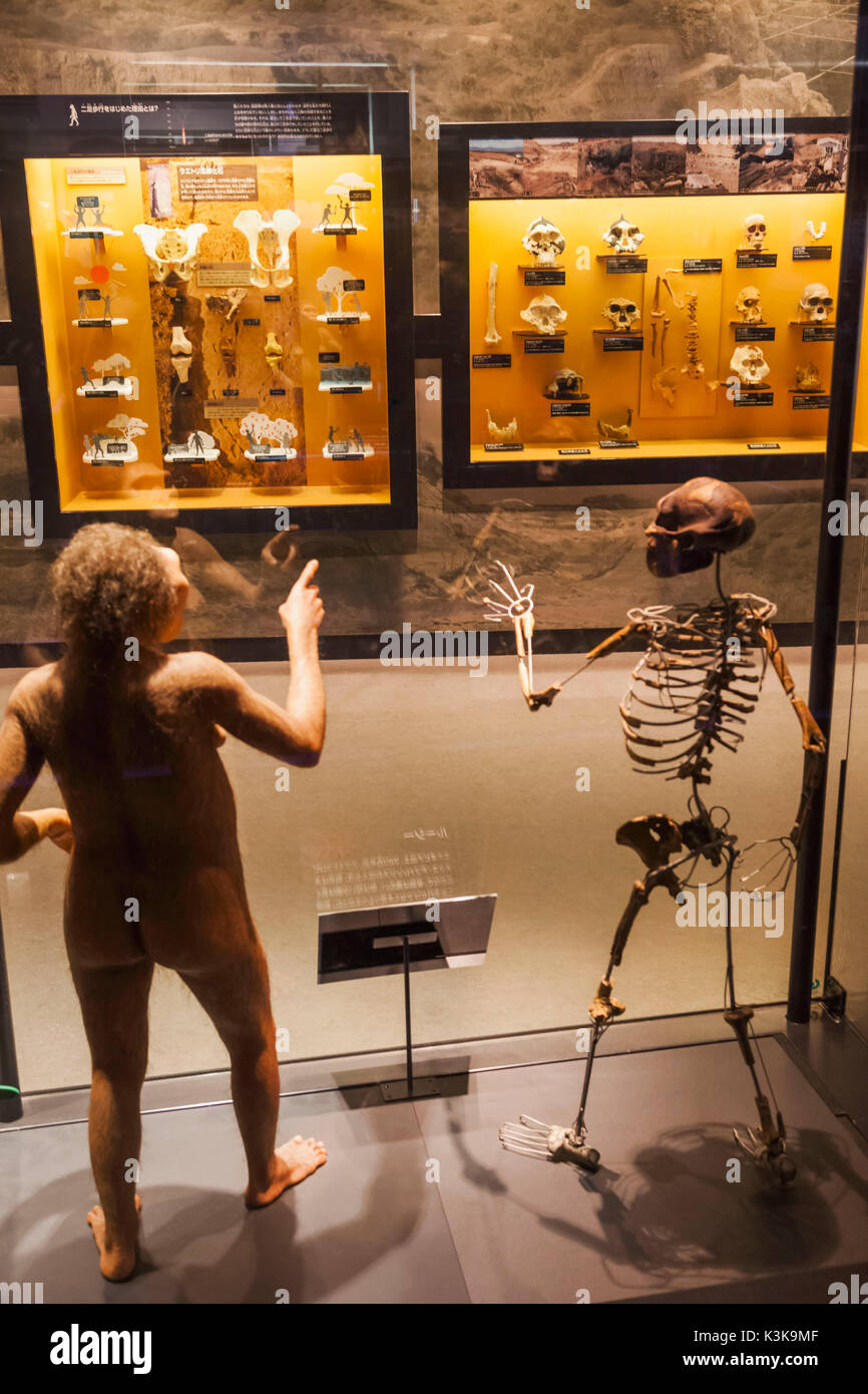 Giappone, Hoshu, Tokyo, il parco Ueno, il museo nazionale della scienza e natura, presentano raffigurante l'evoluzione dell'Umanità Foto Stock