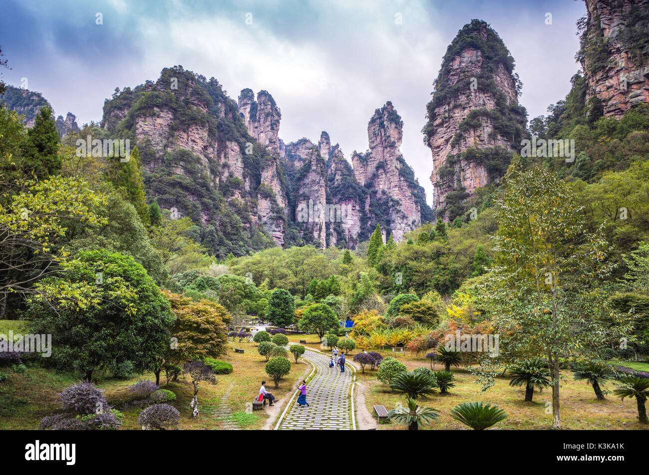 La Cina, nella provincia del Hunan, città di Zhangjiajie Zhangjiajie, parco panoramico, Wulingyuan Foto Stock