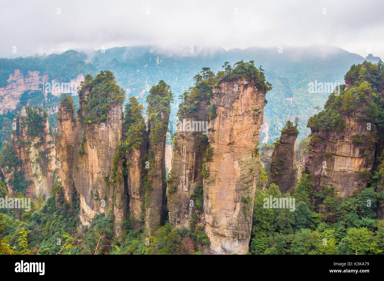 La Cina, nella provincia del Hunan, città di Zhangjiajie Zhangjiajie, parco panoramico, Wulingyuan Foto Stock