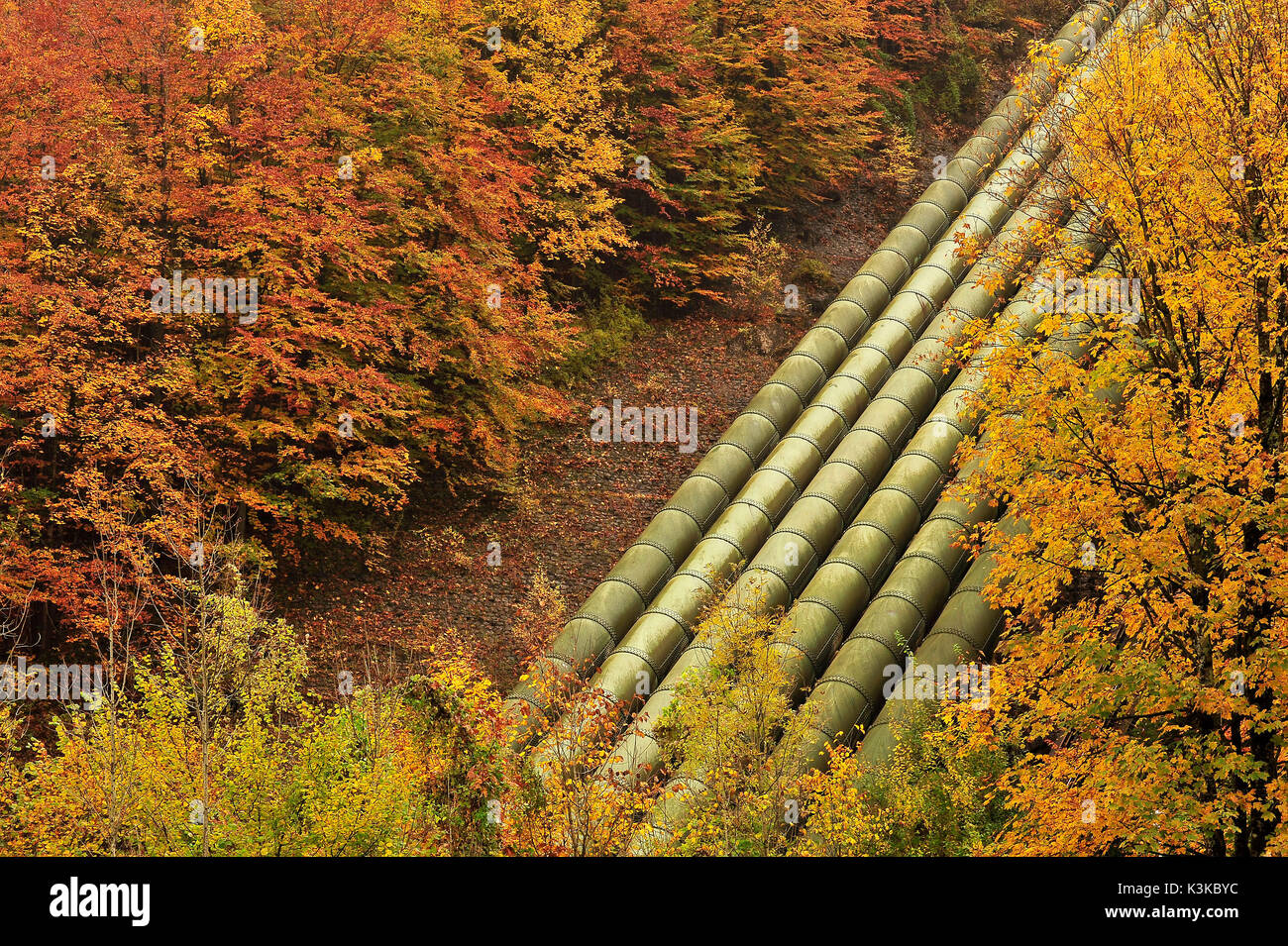 Condotti della centrale idroelettrica Walchensee tra alberi autunnali. Foto Stock