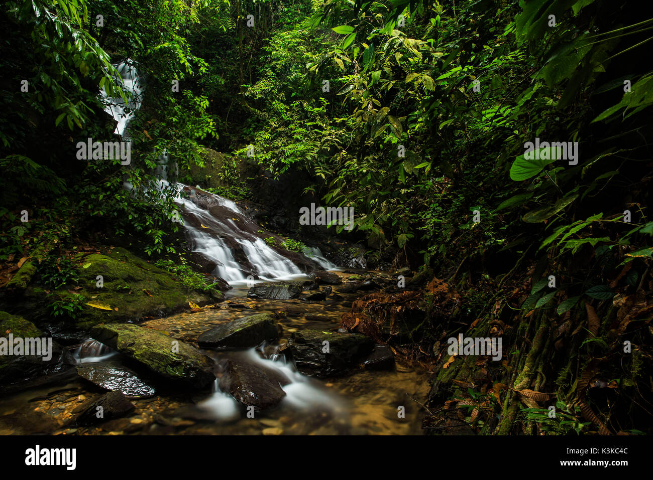 Cascata tropicale nella giungla di Sumatra, Indonesia. Foto Stock