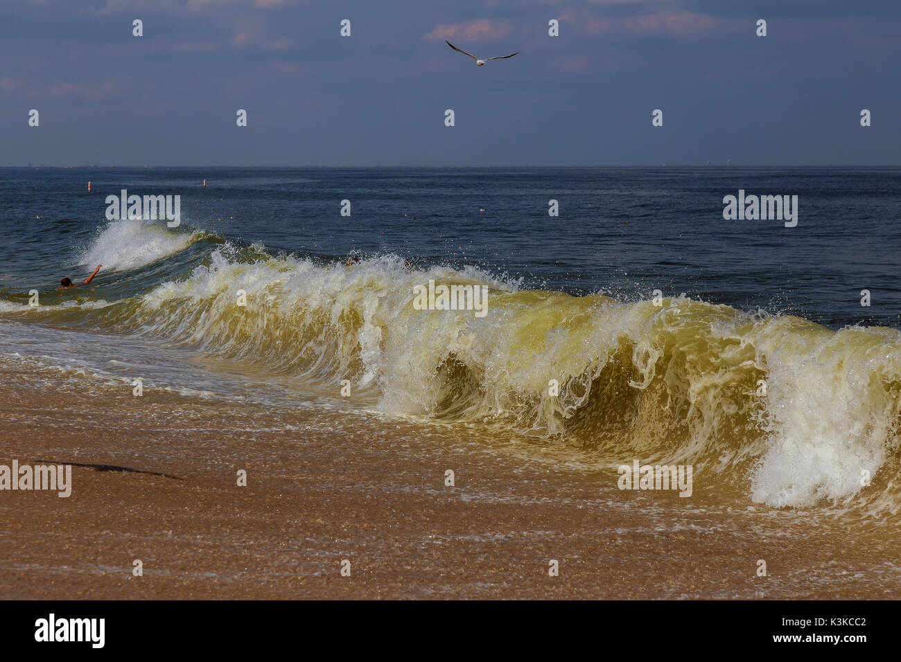 Mano di uomo di annegamento cercando di nuotare al di fuori dell'oceano tempestoso. Vittima di annegamento che necessitano di assistenza, per chiedere aiuto. Guasto e concetto di salvataggio. Foto Stock