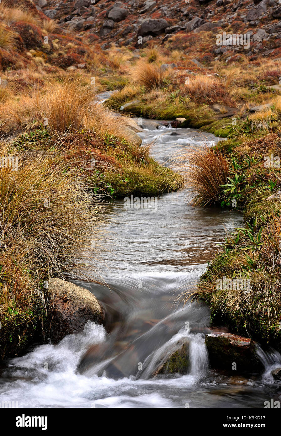 Un piccolo ruscello selvatico si snoda dal paesaggio vulcanico vicino ricoperte di erba del Tongariro Nationalpark. Foto Stock