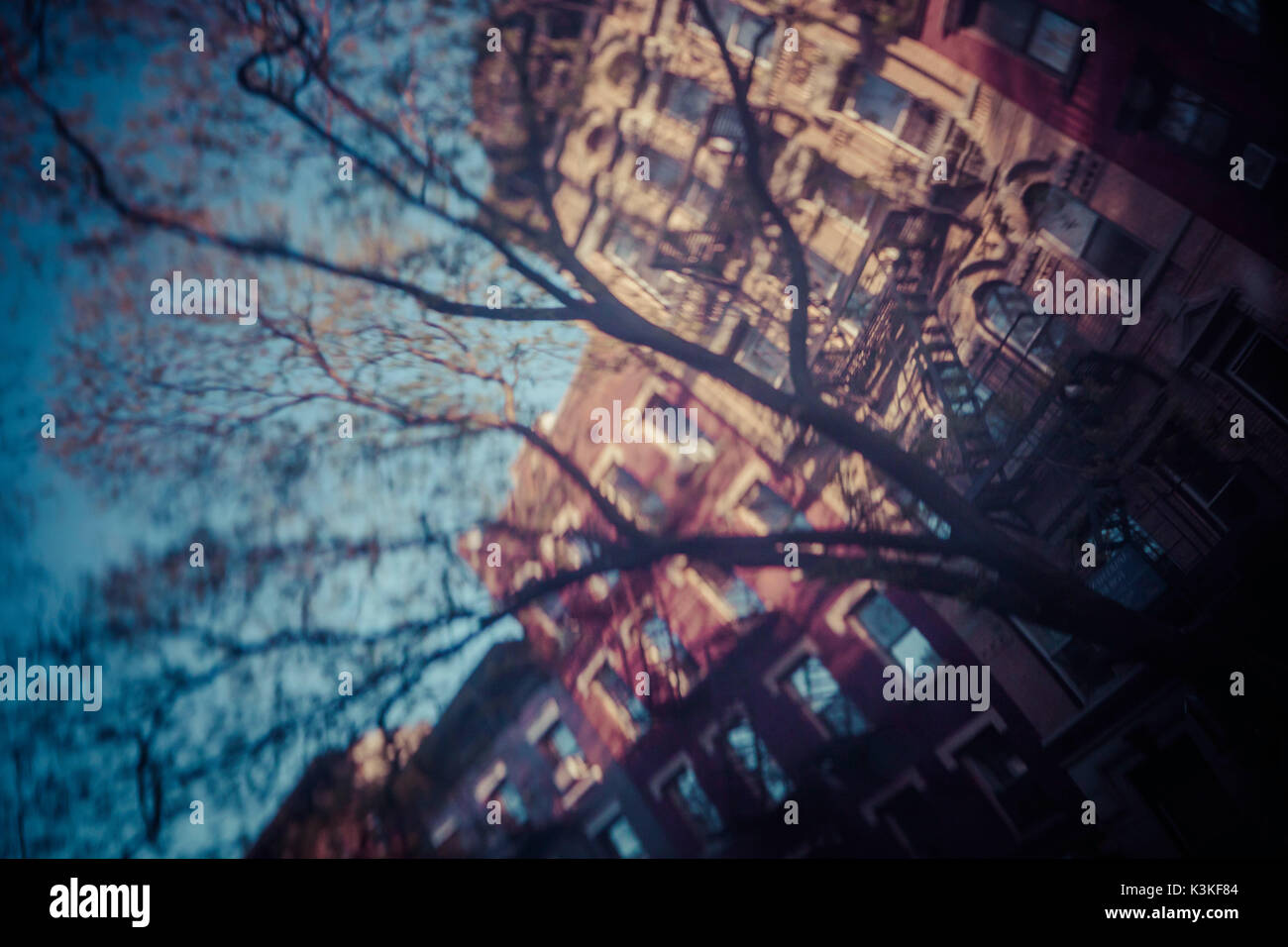 Vista diversa, la riflessione di case e alberi, streetview in auto svaniscono, Manhattan, New York, Stati Uniti d'America Foto Stock