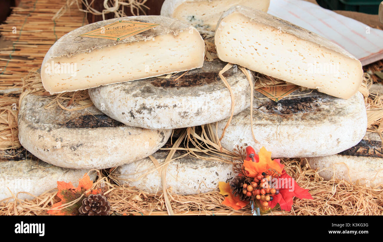 Vista dettagliata del formaggio italiano a Moncalvo fiera del tartufo. Foto Stock