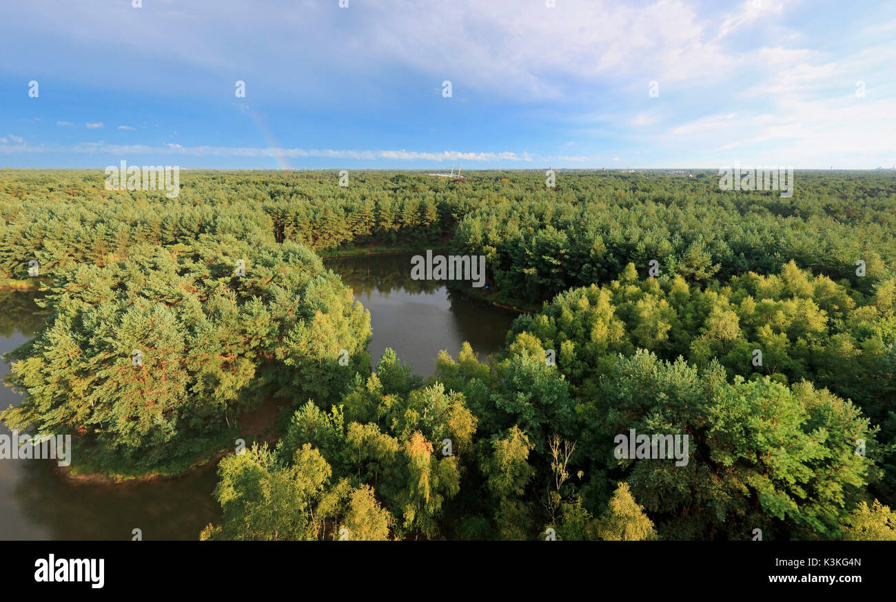 Rainbow al tramonto sulla foresta nel parco naturale chiamato Sahara Lommeles in Belgio Foto Stock