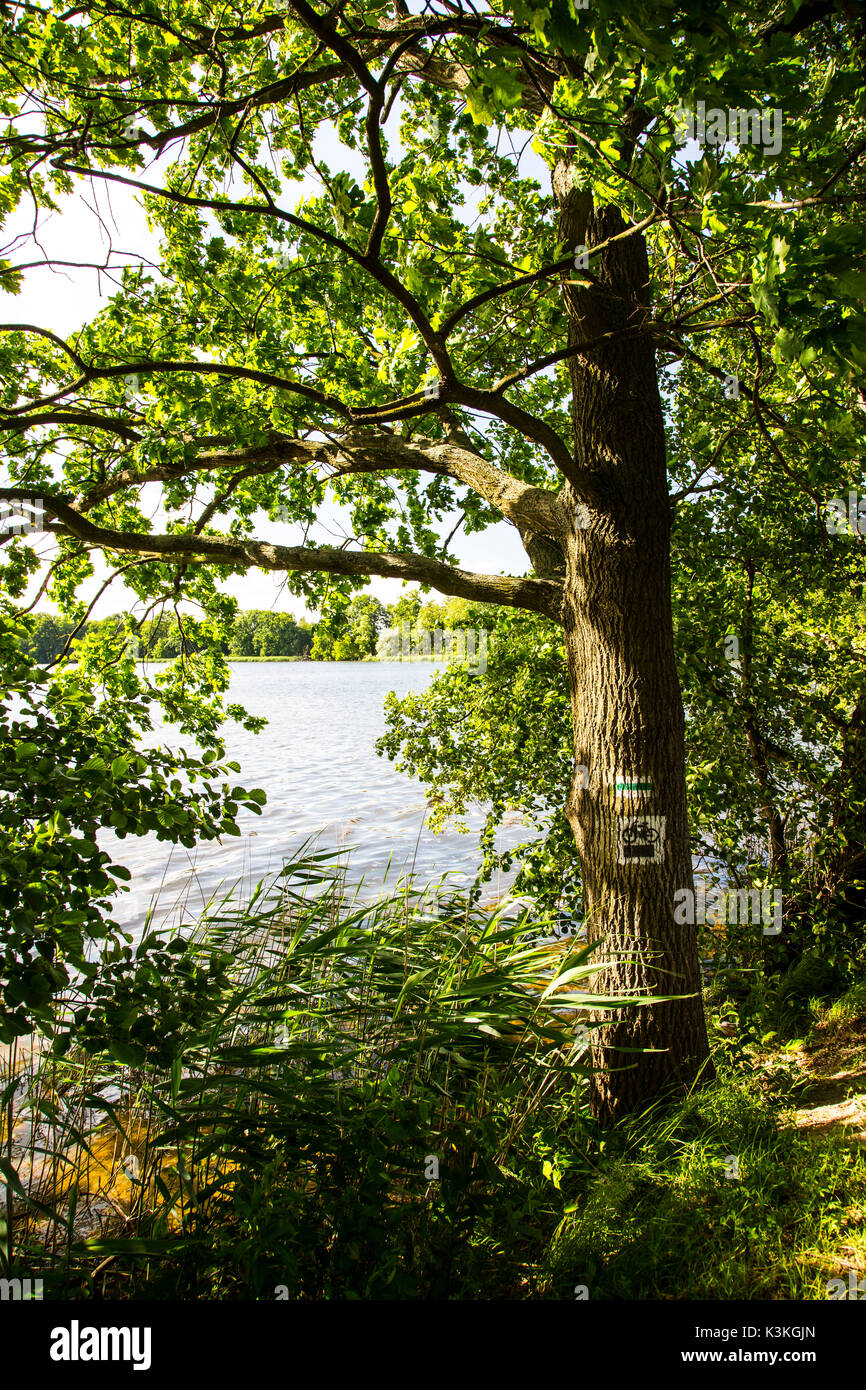 L'Europa, Polonia, Bassa Slesia, Barycz Valley Landscape Park / Landschaftsschutzpark Bartschtal Foto Stock