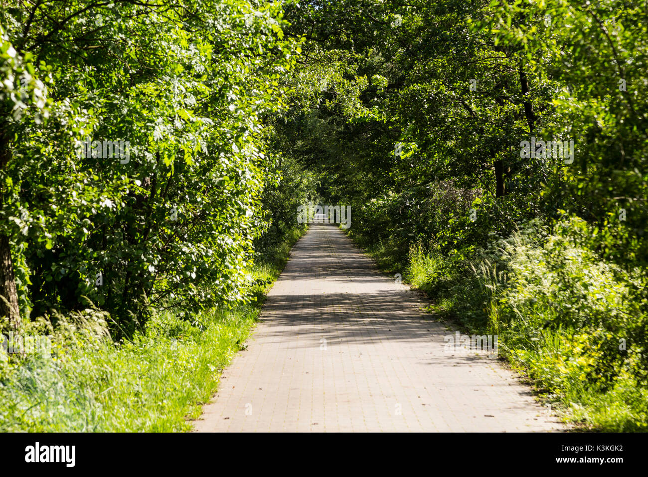 L'Europa, Polonia, Bassa Slesia, Barycz Valley Landscape Park / Landschaftsschutzpark Bartschtal Foto Stock