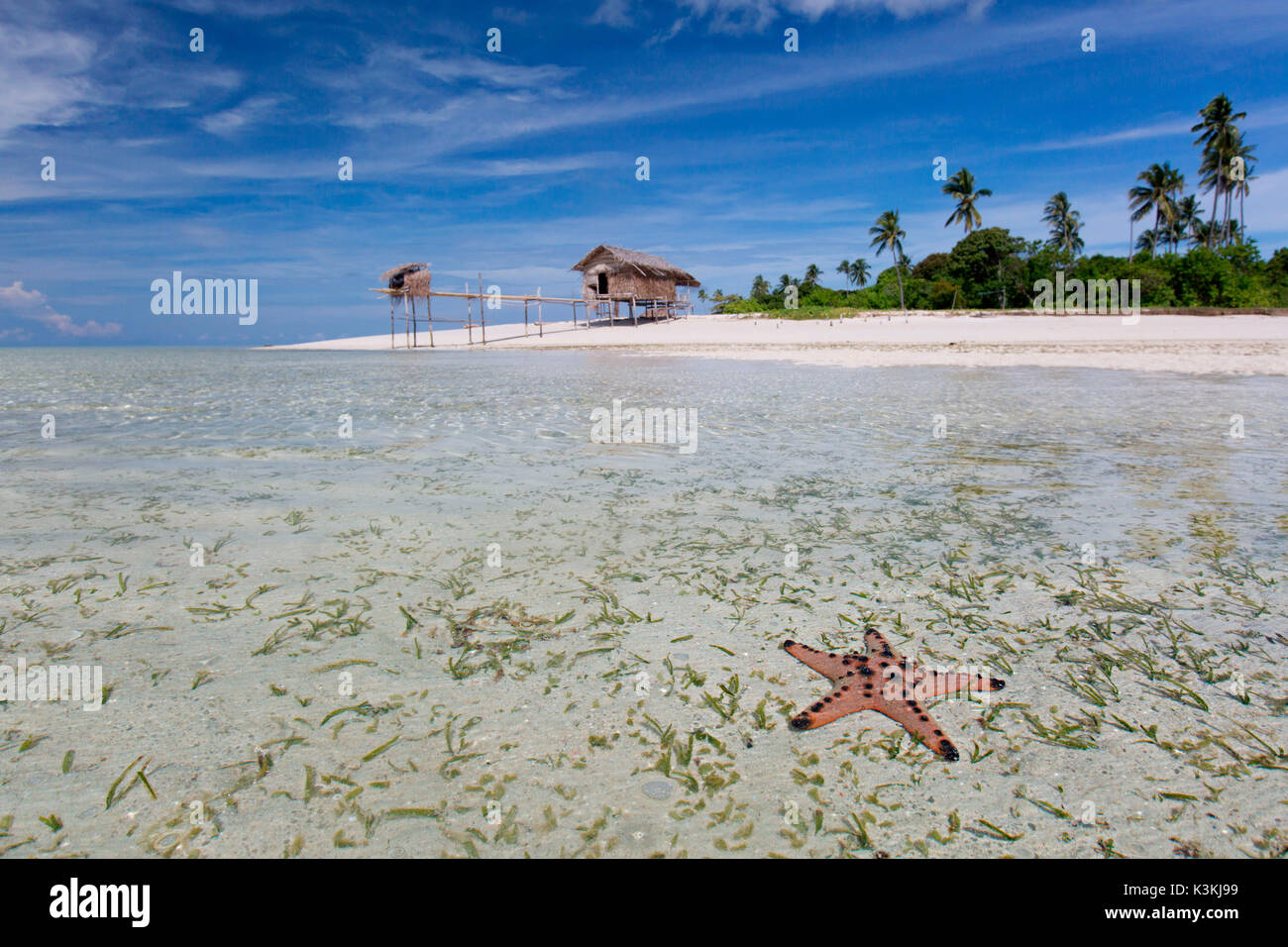 Un paradiso tropicale nel Borneo orientale, Semporna Foto Stock