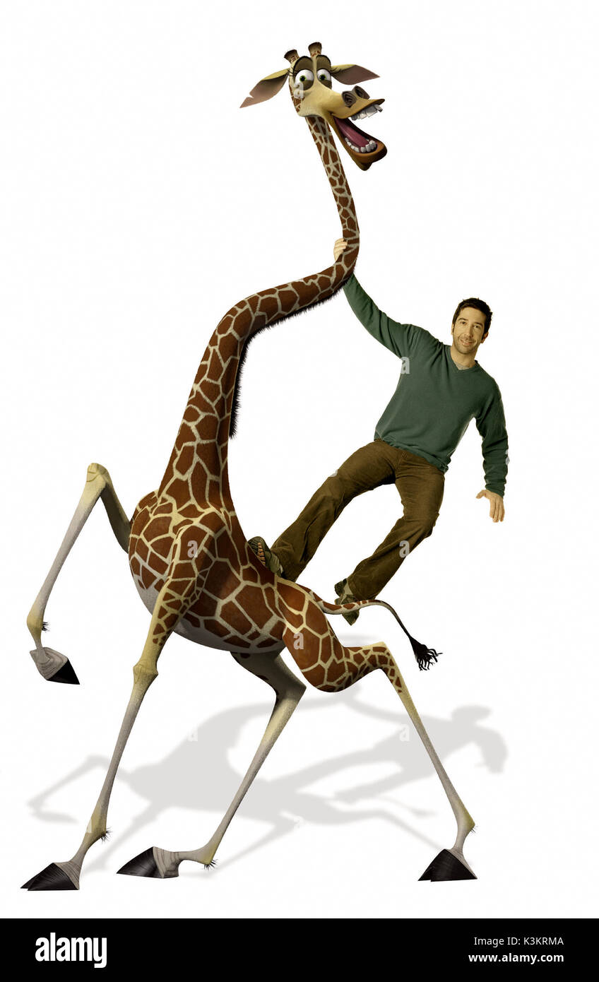 MADAGASCAR: Escape 2 Africa David Schwimmer voci Melman / Giraffe data: 2008 Foto Stock