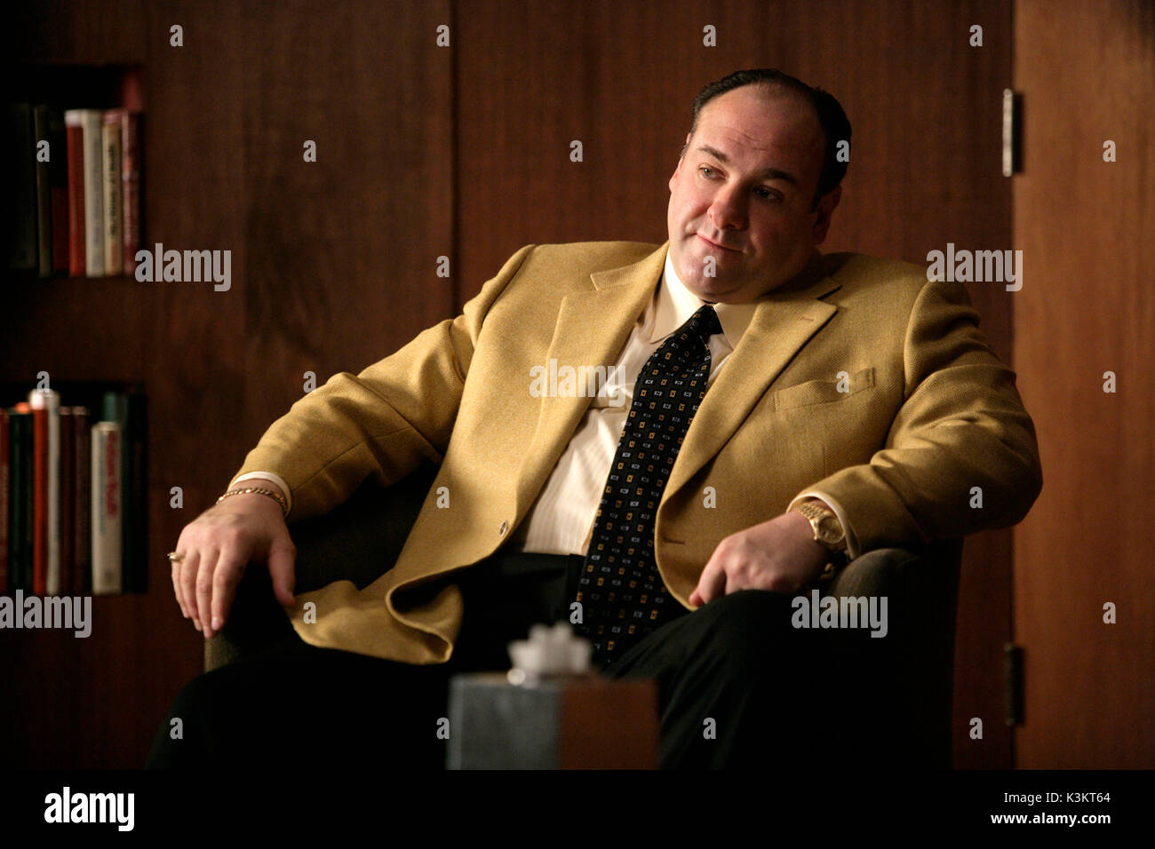 La serie dei soprani,6 JAMES GANDOLFINI come Tony Soprano data: 2007 Foto Stock