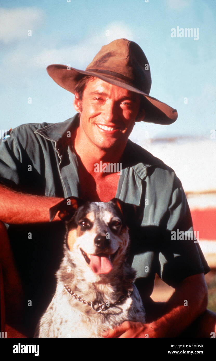 PAPERBACK HERO Hugh Jackman Foto Stock