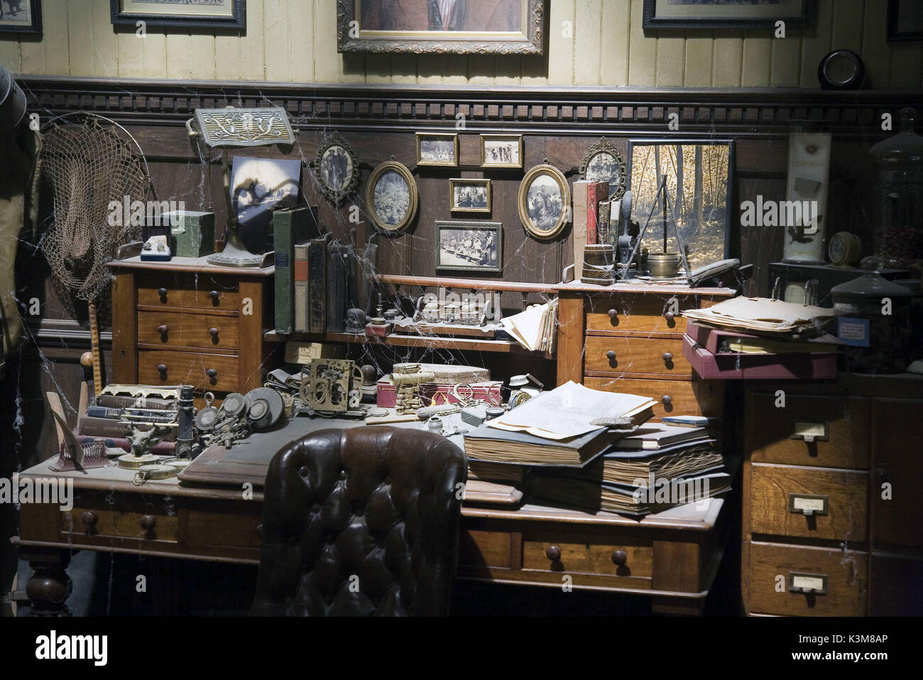 SPIDERWICK - Le cronache Spiderwick - Le cronache data: 2008 Foto Stock